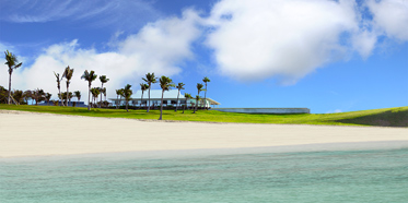 The Cove Eleuthera